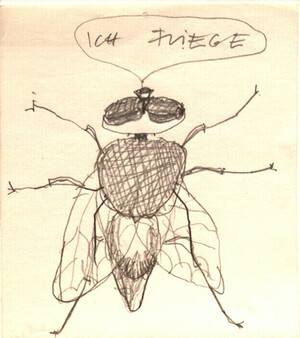 iCH FLiEGE