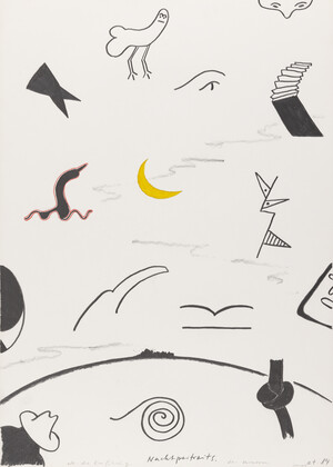 Nachtportraits. Oder: die Einführung des Kormoran