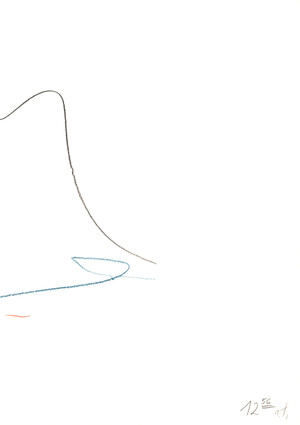 ((elefant von west im abendrot)) 12:56:00 (15.6.89)