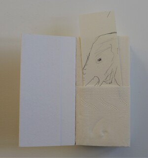 hingerotztes Tempotaschenbuch